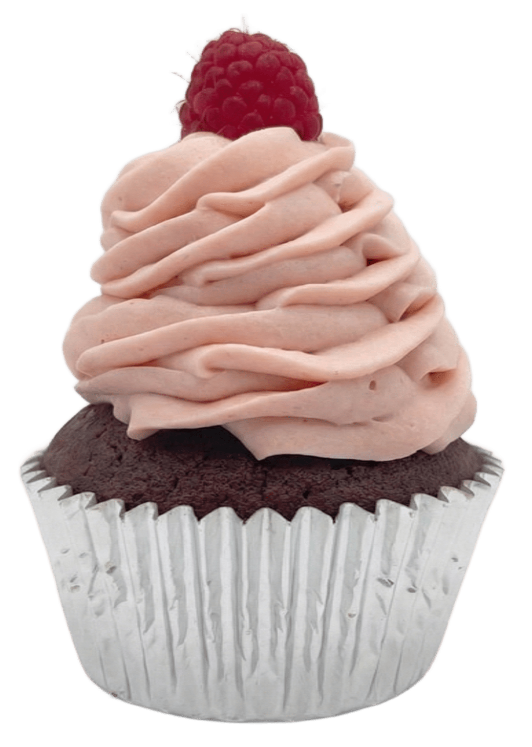 Cupcake Lampone — Camelia Bakery